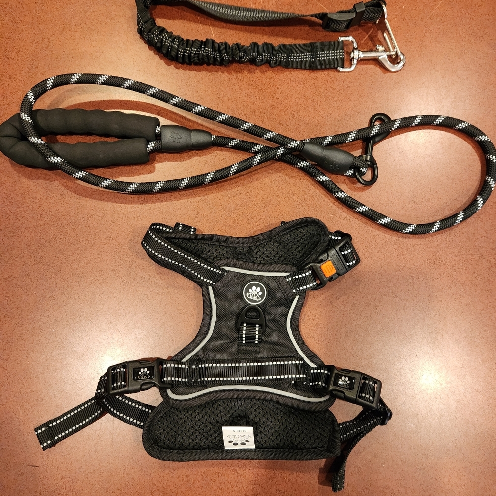 🐶 Doggie bundle 🐶